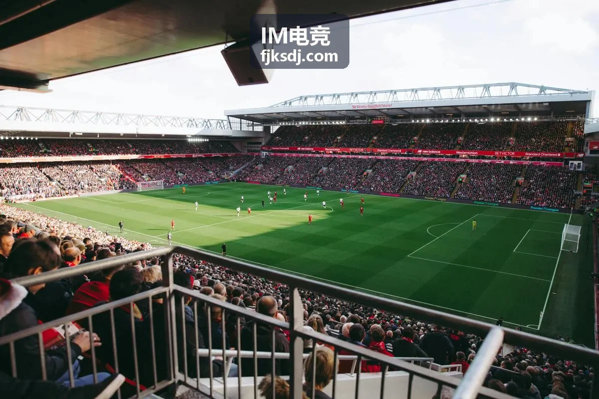 IM电竞俱乐部训练